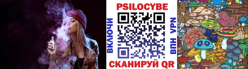 Купить где  Новочебоксарск  Галлюциногенные грибы Cubensis 